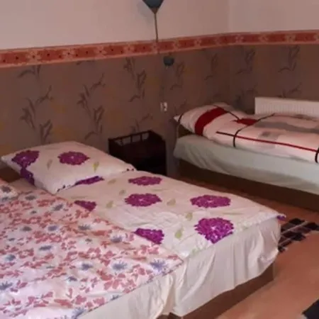 Janka Vendeghaz Es Сasa de vacaciones Abádszalók