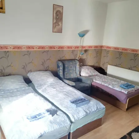 Janka Vendeghaz Es Holiday home Abadszalok