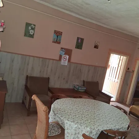 Janka Vendeghaz Es *