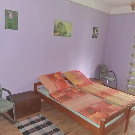 Janka Vendeghaz Es Holiday home Abadszalok